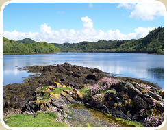 A view across the shoreline